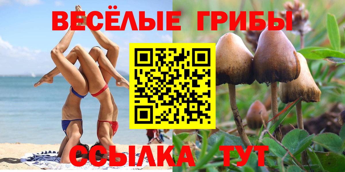 Галлюциногенные грибы GOLDEN TEACHER  Галлюциногенные грибы Psilocybe  даркнет сайт  Вход с VPN  Воркута 